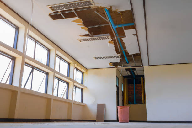 Best Water damage contractors near me  in Grandview Heights, OH