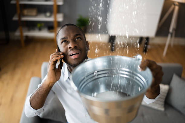 Best Ceiling water damage repair  in Grandview Heights, OH