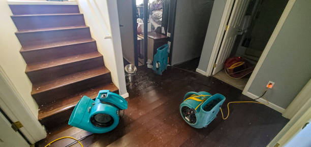  Grandview Heights, OH Water damage restoration Pros