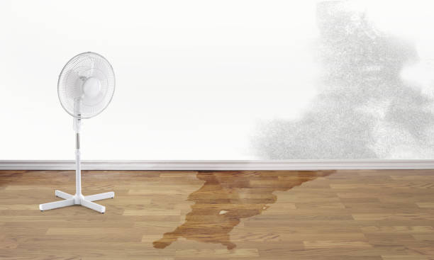 Best 24/7 water damage repair  in Grandview Heights, OH