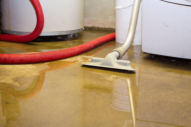 Best Flood damage cleanup  in Grandview Heights, OH
