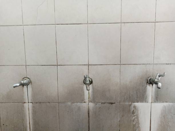 Best Commercial water damage restoration  in Grandview Heights, OH