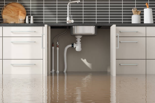 Best 24-hour water damage restoration  in Grandview Heights, OH