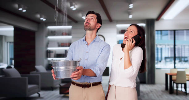 Best Ceiling water damage repair  in Grandview Heights, OH