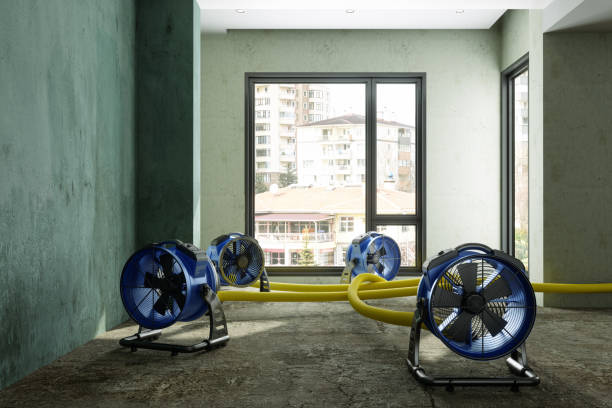 Best Residential water damage restoration  in Grandview Heights, OH