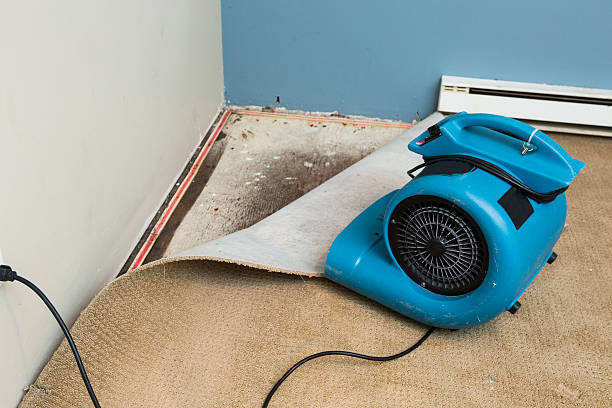 Water damage restoration experts in Grandview Heights, OH