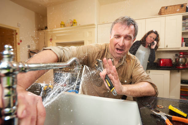 Best Mold removal after water damage  in Grandview Heights, OH